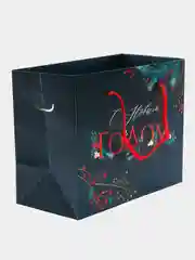 Черный новогодняя коробка-пакет