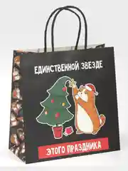 Пакет новогодний подарочный, с приколом
