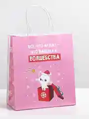 Пакет новогодний подарочный, с приколом