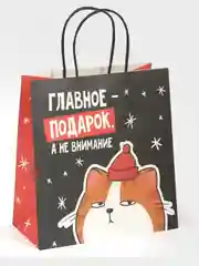 Пакет новогодний подарочный, с приколом