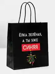 Пакет новогодний подарочный, с приколом