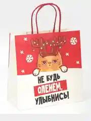 Пакет новогодний подарочный, с приколом