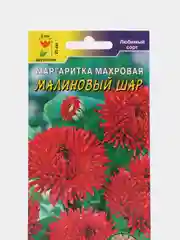 Семена цветов Маргаритка махровая "Малиновый шар", 0,03 г, Цветущий сад