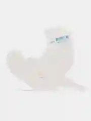 Открытка на скотче, 5 штук