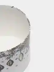 Прозрачный новогодняя коробка