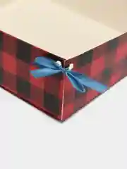 Угольный упаковка "Новогодняя коробка", 20 х 17 х 6 см