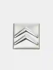 Серебряный эмблема Citroen на ключ зажигания