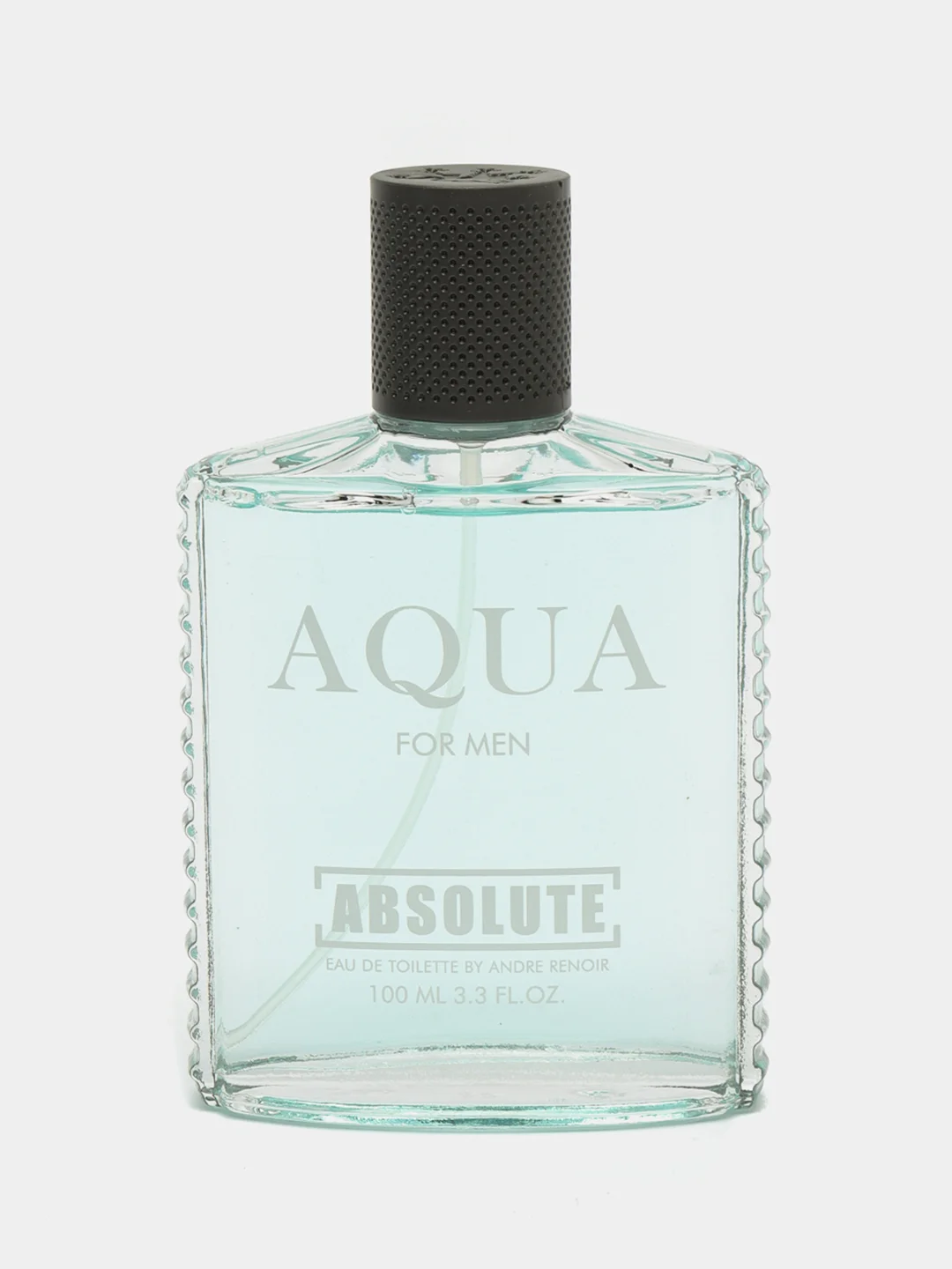 Туалетная вода мужская Absolute Aqua, 100 мл