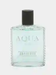Туалетная вода мужская Absolute Aqua, 100 мл