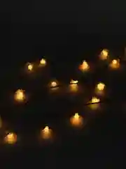 Молочный гирлянда "РОЗЫ" LED светодиодная/10 метров/100 ламп/праздничная на ёлку /220В/30ламп