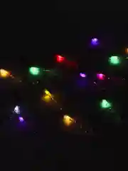 Лавандовый светодиодная гирлянда, USB, 3 метра