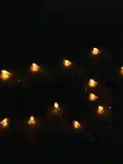 Светло-жёлтый светодиодная гирлянда, USB, 3 метра