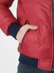 Багровый куртка мужская зимняя, тёплая