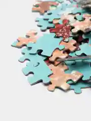 Оранжевый пазлы  1000 элементов