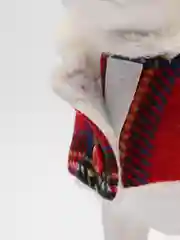 Новогодний костюм для животных