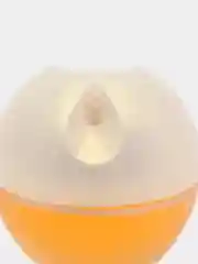 Парфюмерная вода женская INCANDESSENCE