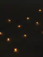 Бронзовый гирлянда, 4 вида