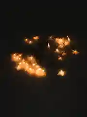 Бронзовый гирлянда, 4 вида