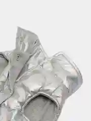Серебряный зимняя одежда для кошек и собак
