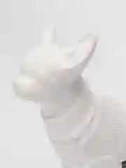 Свитер для животных
