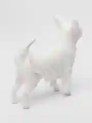 Свитер для животных