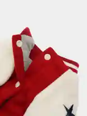 Красный бомбер для животных