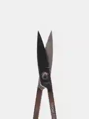 Серебряный ножницы маникюрные