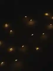 Гирлянда светодиодная на батарейках, LED