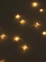 Лимонный гирлянда новогодняя медная светодиодная LED, USB питание, 1 / 2 / 3 / 4 / 5 метра