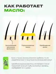 Касторовое масло для роста ресниц и бровей SENTENSLAB, 10 мл