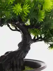 Искусственное дерево "Бонсай"