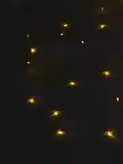 Гирлянда-штора светодиодная, желтый теплый свет