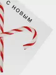 Интерьерные подушки Bad Santa, набор для шитья