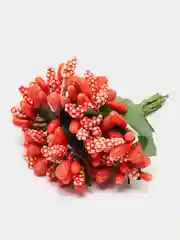 Коралловый тычинки с сахарными вставками 12 шт