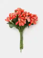 Коралловый тычинки с сахарными вставками 12 шт