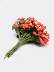 Коралловый тычинки с сахарными вставками 12 шт