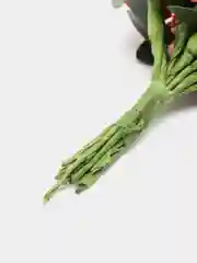 Коралловый тычинки с сахарными вставками 12 шт