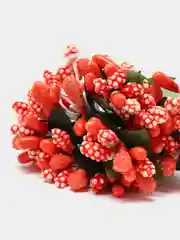 Коралловый тычинки с сахарными вставками 12 шт