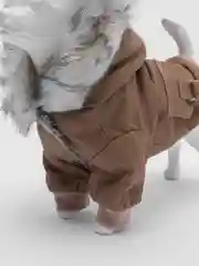Бежевый куртка для собак, комбинезон зимний, теплый