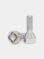 Болт секретный М12 х 1,25 51/31 мм, 4 штуки + 2 ключа на 19