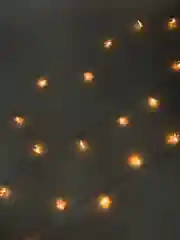 Золотой гирлянда, 4 вида