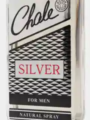 Туалетная вода для мужчин CHALE SILVER, 100 мл