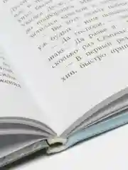 Линия связи, Лев Кассиль