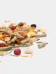 Дегу классик