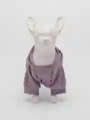 Фиолетовый толстовка для собак, зимняя