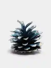 Шишки декорированные, 40 штук