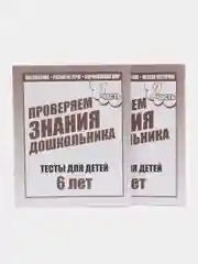 Проверяем знания дошкольника 6 лет, рабочая тетрадь, в 2ух частях, Бурдина С.В
