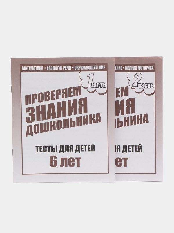 Проверяем знания дошкольника 6 лет, рабочая тетрадь, в 2ух частях, Бурдина С.В