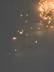 Кремовый гирлянда штора с пультом