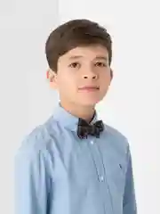 Бабочка Андерс